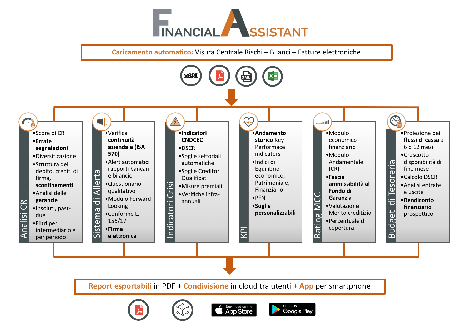 Software Financial Assistant